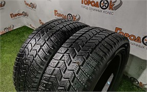 Пара шин зима R16 Vredestein 205х55 24241