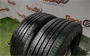 Пара шин лето R15 TracMax 195х50 24314