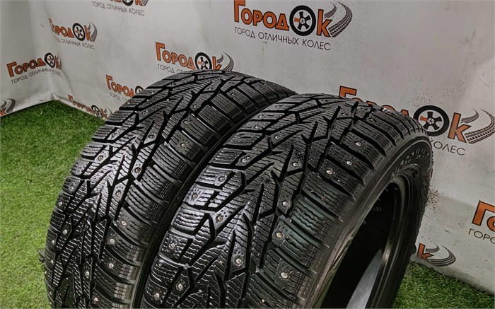 Пара шин зима R16 Nokian 205х55 25411