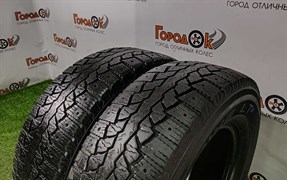 Пара шин зима R15С Maxxis 225х70 21880