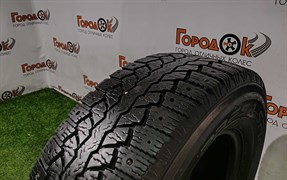 Шина зима R15С Maxxis 225х70 21881