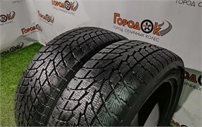 Пара шин липучка R18 Toyo 225х55 22451