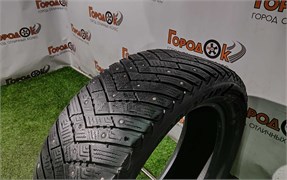 Шина зима R19 Goodyear 245х55 22459