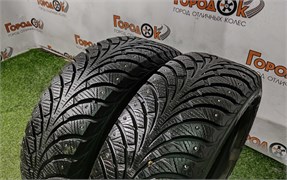 Пара шин лето R15 Goodyear 205х65 23731