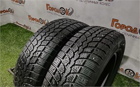 Пара шин зима R14 Kama 175х65 23989
