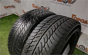 Пара шин лето R16 Sava 205х55 24194