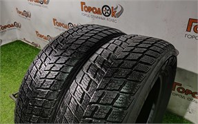 Пара шин липучка R16 Nexen  215х70 24791