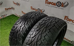 Пара шин зима R16 Nankang 205х55 24821