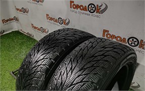 Пара шин зима R16 Nokian 195х55 25371