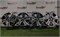 К-кт литых дисков R17 SSANG-YONG 5х130/84,1/50 23107 - фото 31469