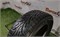 Шина липучка R15 Nokian 185х65 23336 - фото 32153