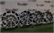 К-кт литых дисков R16 OPEL 5х110/73,1/40 23645 - фото 32858