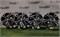 К-кт литых дисков R17 HYUNDAI 5х114,3/67,1/40 23735 - фото 33077