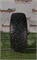 Шина зима R18 Pirelli 225х50 23893 - фото 33511